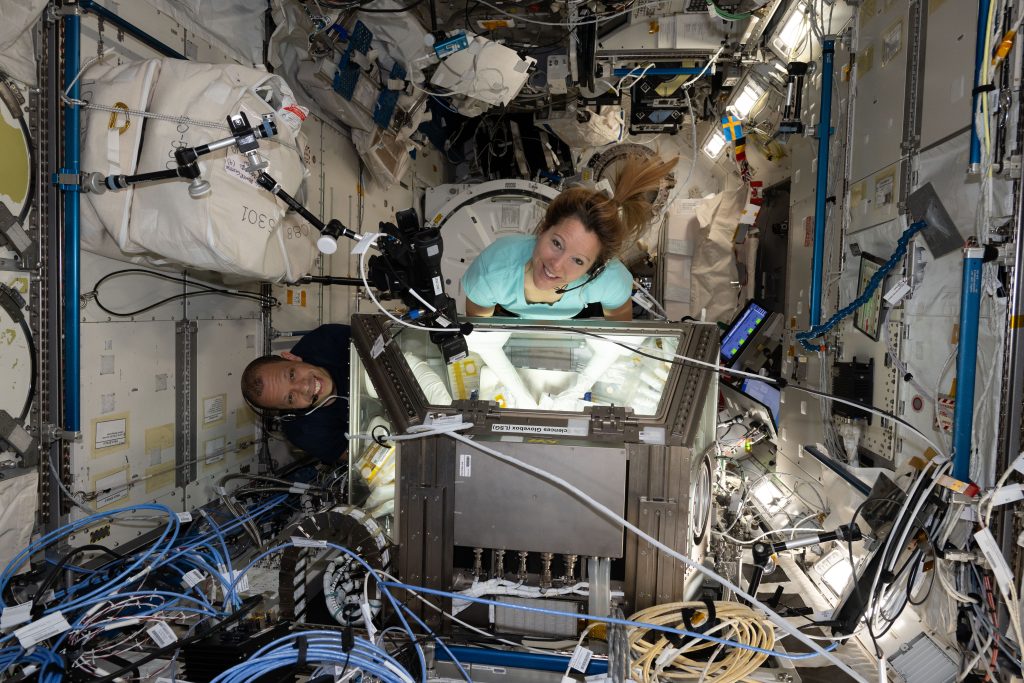 Science in Space