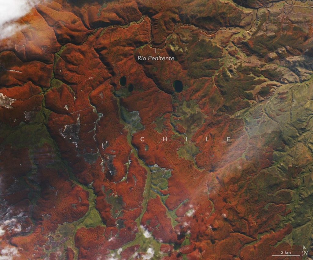 Fiery Fall Color in Southern Chile